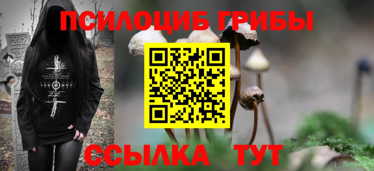 Павлово  Галлюциногенные грибы Psilocybine cubensis  купить   Вход с VPN  Псилоцибиновые грибы GOLDEN TEACHER 